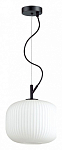 Подвесной светильник Odeon Light Roofi 4753/1 250_100_1724802