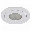 Встраиваемый светильник Lightstar Leddy 212175 100_100_3165397