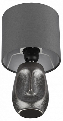 Настольная лампа декоративная Lumion Akivi 8147/1Т 400_400_1866238