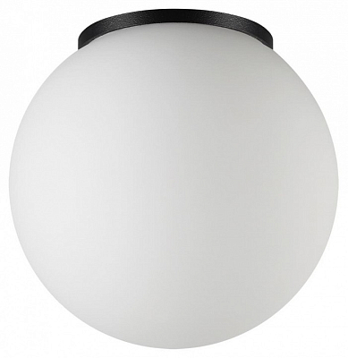 Накладной светильник Odeon Light NATURE 7124/1C 400_400_2450352