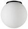 Накладной светильник Odeon Light NATURE 7124/1C