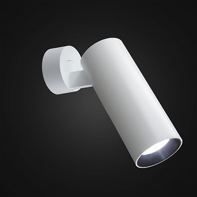 Спот Citilux Тубус CL01B120N 400_400_1687208