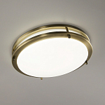 Накладной светильник Citilux Бостон CL709323N 250_100_3148010