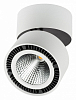 Накладной светильник Lightstar Forte Muro 213830 100_100_3155479