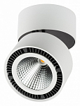 Накладной светильник Lightstar Forte Muro 213830 250_100_3155479