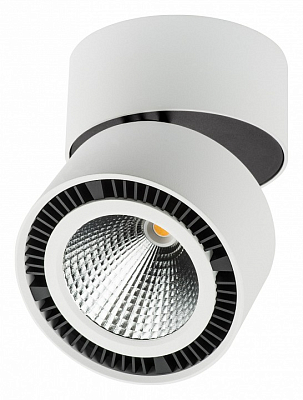 Накладной светильник Lightstar Forte Muro 213830 400_400_3155479