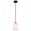 Подвесной светильник Escada 160002 160002/A/1P Black 100_100_2619753