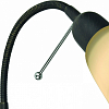 Бра Arte Lamp Lettura A7009AP-1BR 100_100_2628575