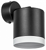Спот Lightstar Rullo RBX34873486 100_100_1721272