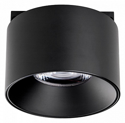 Накладной светильник Lightstar Linea 206047 400_400_2448194