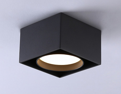 Накладной светильник Ambrella Light TN TN70866 400_400_2024405