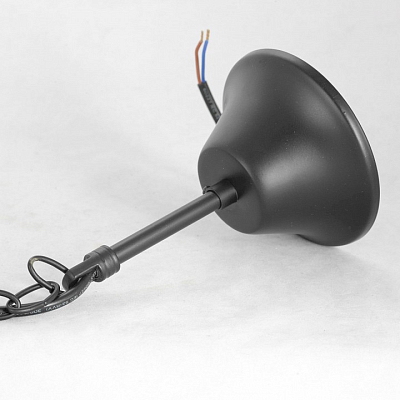 Люстра подвесная Lussole GRLSP-8216 400_400_1735749