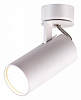 Спот Odeon Light Kiko 3873/1C 100_100_1723717