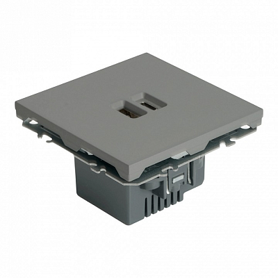 Розетка 2хUSB type A и C без рамки Stekker Эмили 49957 400_400_2379680