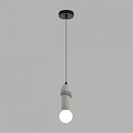 Подвесной светильник Lumion ECO 8365/1A 250_100_2833562