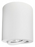 Накладной светильник Lightstar Binoco 52006 250_100_Array