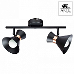 Спот Arte Lamp Baltimore A1406AP-2BK 250_100_1820987