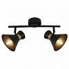 Спот Arte Lamp Baltimore A1406AP-2BK 100_100_1820986