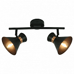 Спот Arte Lamp Baltimore A1406AP-2BK 250_100_1820986