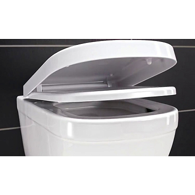 39330002 Euro Ceramic Сиденье для WC с микролифтом, альпин белый (замена арт. 39330001) 400_400_1440668