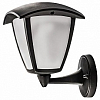 Светильник на штанге Lightstar Lampione 375670 100_100_2232363