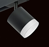 Светильник на штанге Lightstar Rullo PRO348780 100_100_1717897