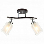 Спот Citilux Фортуна CL156122 250_100_Array