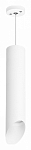Подвесной светильник Lightstar Rullo RP49636 250_100_3082405