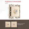 ТВ-розетка без рамки Arte Milano am-217 217.42-1.shampan 100_100_2167795