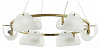 Подвесная люстра Lumion Fioro 6571/6 100_100_2429153