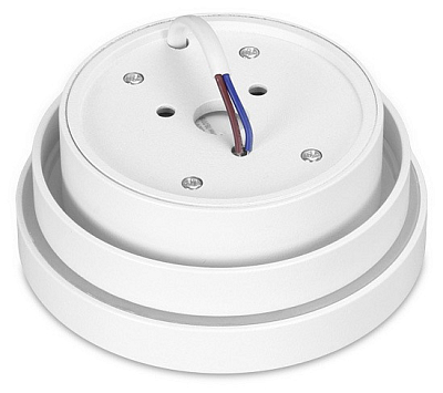 Накладной светильник Ambrella Light TN TN601 400_400_2002265