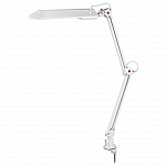 Настольная лампа офисная Эра NL-201 NL-201-G23-11W-W 250_100_Array