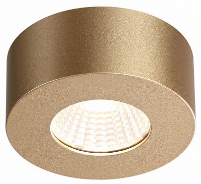 Накладной светильник Odeon Light Bene 4284/7CL 400_400_1725059