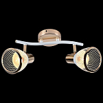 Спот Reluce 05967-1 05967-0.8-02 WH+FGD 250_100_3120160