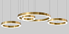 Подвесной светильник Imperiumloft Light Ring Horizontal 40.1454-120 100_100_1975676