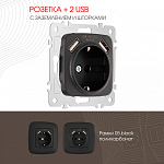 Розетка с заземлением и со шторкой и 2хUSB, без рамки Arte Milano am-205 205.47-1.black 250_100_2167147
