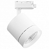 Светильник на штанге Lightstar Canno 301262 100_100_2232490