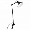 Настольная лампа офисная Lightstar Loft 765927 100_100_2225837