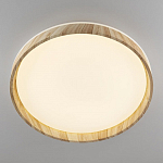 Накладной светильник Citilux ENZO CL753452G 250_100_3148906