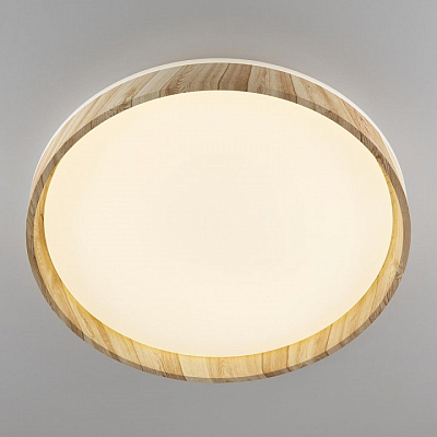 Накладной светильник Citilux ENZO CL753452G 400_400_3148906