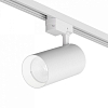 Светильник на штанге Denkirs  DK6456-WH 100_100_2469913