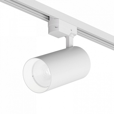 Светильник на штанге Denkirs  DK6456-WH 400_400_2469913