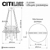 Подвесной светильник Citilux ETERA CL322060 100_100_535772