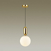 Подвесной светильник Odeon Light Okia 4669/1 100_100_1724000