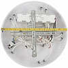 Потолочная люстра Natali Kovaltseva Singl LED LAMPS 81179 100_100_2131570