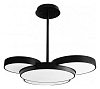 Люстра на штанге iLedex Demure 9127-930-D-T BK 100_100_2423019