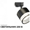 Светильник на штанге Apeyron Electrics  16-88 100_100_2383878