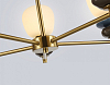 Люстра на штанге Ambrella Light LH LH53164 100_100_2476147