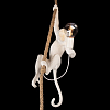 Подвесной светильник Loft it Monkey 10314P 100_100_1850314