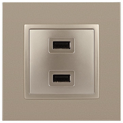 Розетка 2хUSB type A без рамки Эра Эра Elegance 14-4110-04 400_400_2400891
